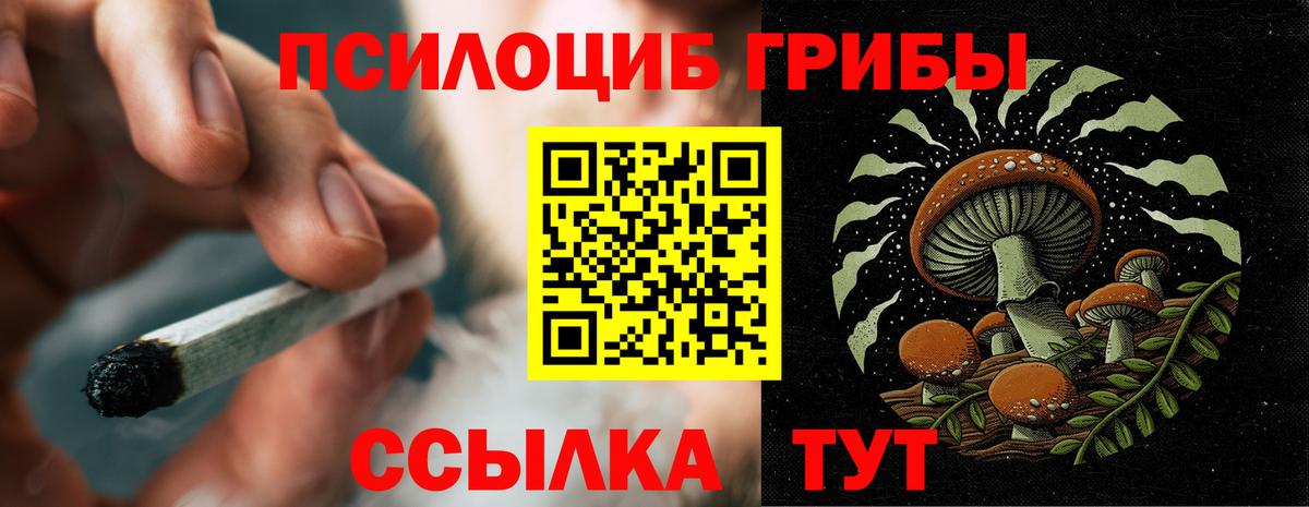 Псилоцибиновые грибы Psilocybe  Вход с VPN  Наро-Фоминск 
